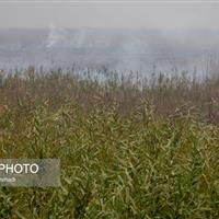 چرا دود آتش‌سوزی هورالعظیم در خوزستان کمتر شده است؟/ برای سال‌های بعد باید ‌فکر اساسی شود