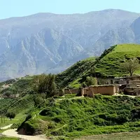 بهشت اینجاست؛ دشت سوسنِ همیشه سبز 