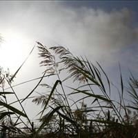 برنامه کره جنوبی برای کاهش انتشار گازهای گلخانه‌ای تا ۲۰۳۵