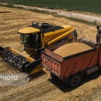 معاون جهاد کشاورزی استان زنجان: تأمین سوخت کشاورزان زنجان بدون مشکل انجام می‌شود