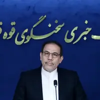 سخنگوی قوه قضائیه: رسایی صد درصد اشتباه میکند