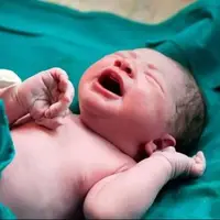 تحقیق و تفحص از دستگاه‌های مقصر در اجرای سیاست‌های جمعیتی کلید خورد