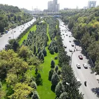 چرا در فضای سبز تهران از درختان میوه استفاده نمیشود؟