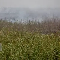 چرا دود آتشسوزی هورالعظیم در خوزستان کمتر شده است؟