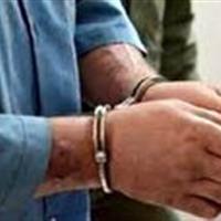 سارق باغات و مزارع ابهر در دام پلیس