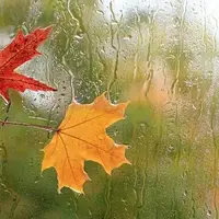 همدان رنگ و بوی پاییزی می‌گیرد