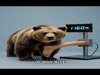 ‏مقایسه قدرت آرواره حیوانات هنگام گاز گرفتن