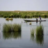 فرماندار: حقابه تالاب شادگان تأمین نمیشود