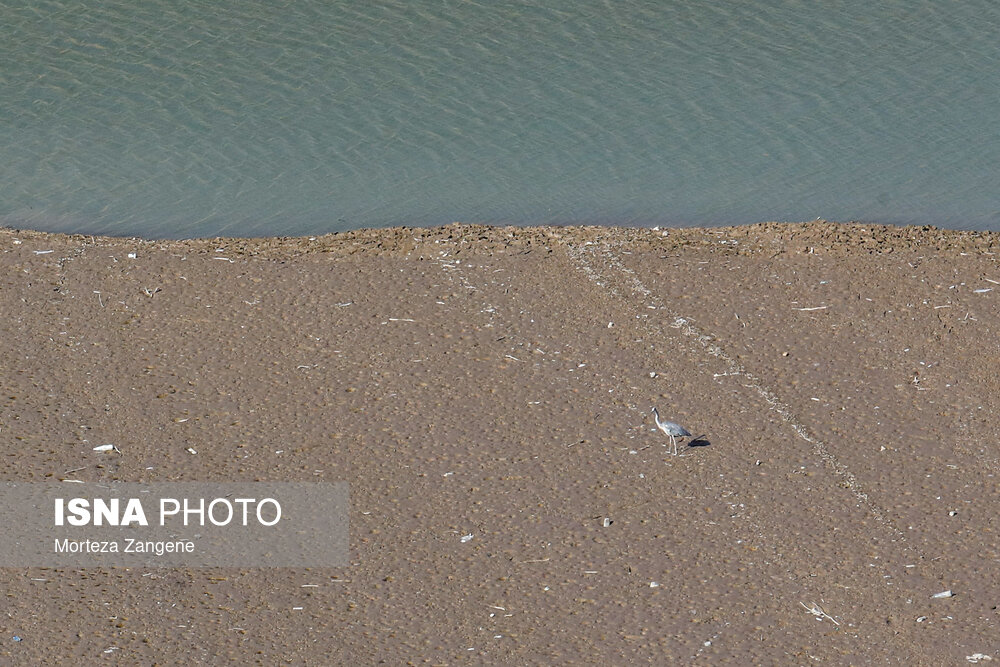 عکس/ وضعیت بحرانی سد لتیان