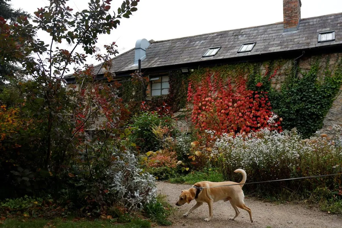  شکوه رنگ‌های پاییزی در سراسر جهان