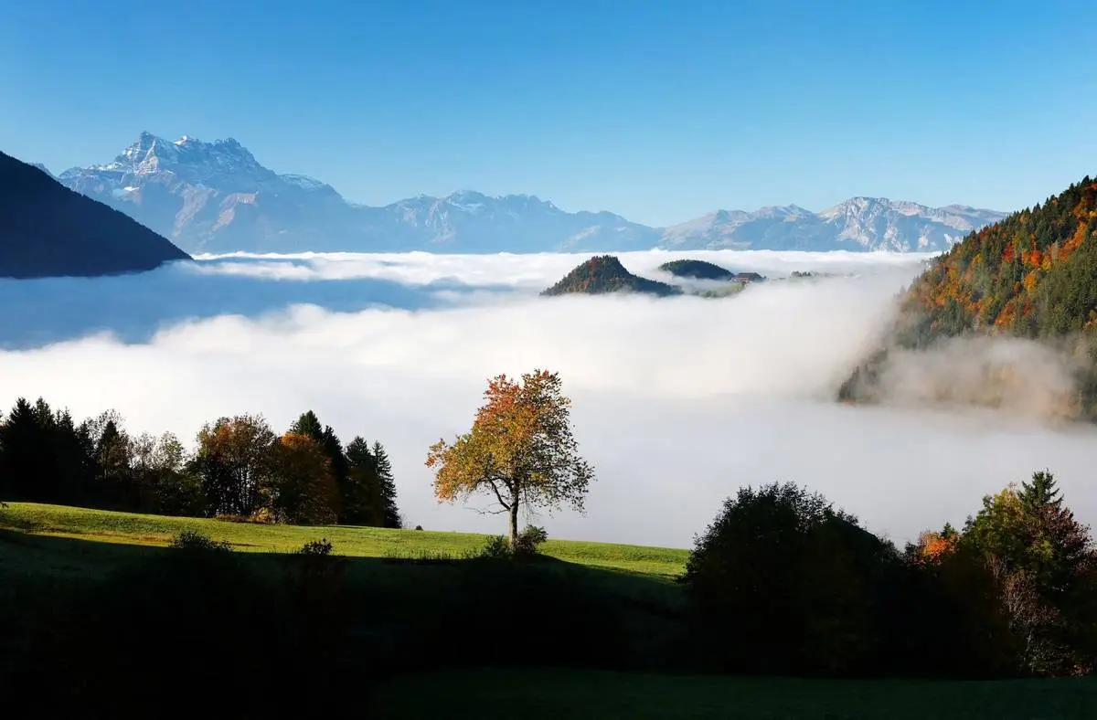  شکوه رنگ‌های پاییزی در سراسر جهان