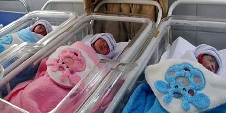 تولد نوزادان سهقلو در سبزوار