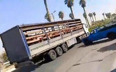 جابجایی عجیب دانشآموزان یک مدرسه با کامیون!