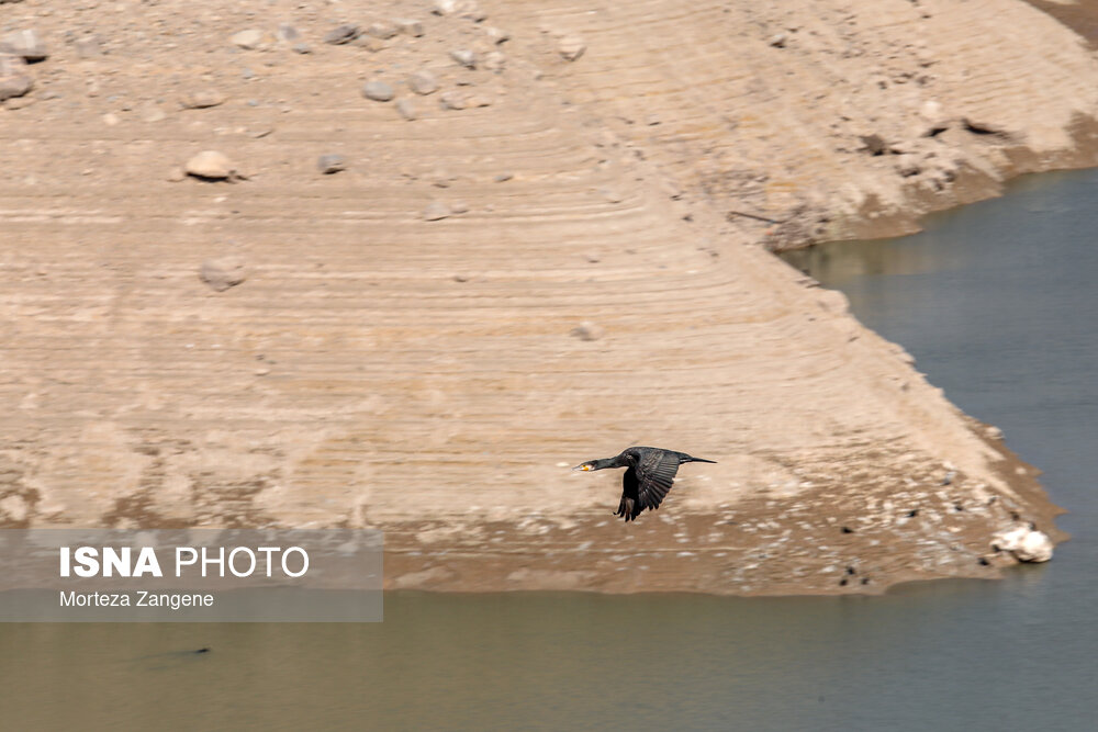 عکس/ وضعیت بحرانی سد لتیان