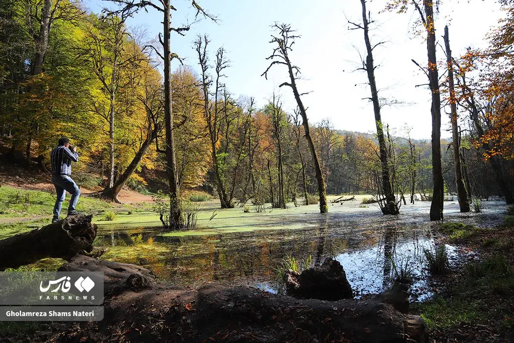 پاییز «مرداب دِریوک» کلاردشت