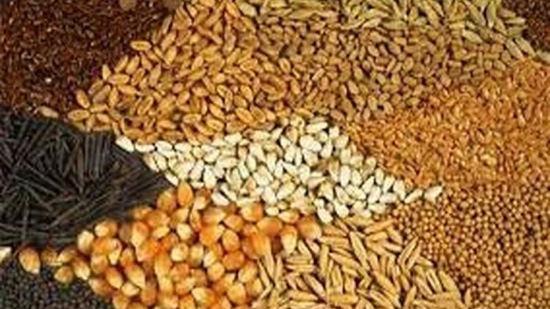 خشکسالی نیاز دامداران خراسان شمالی به نهاده دامی را افزایش داد