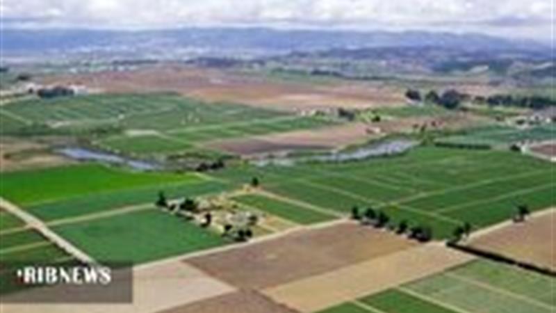 ۹۶۹ هکتار از اراضی بایر دولتی بجنورد تعیین تکلیف شد