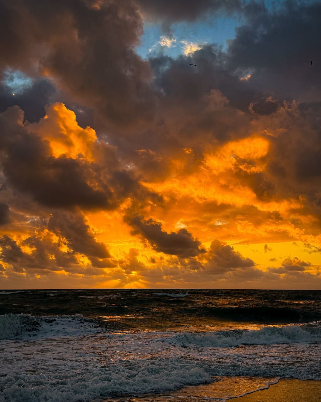 تصاویری زیبا از هم‌نشینی ابر و دریا در فلوریدای آمریکا