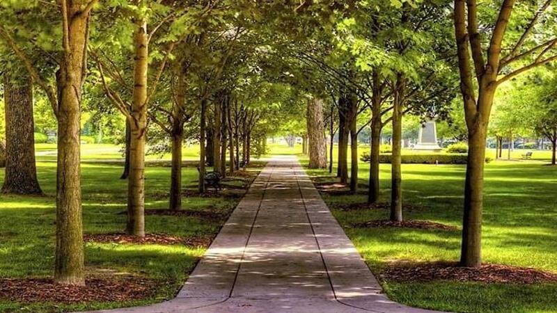 احداث سه پارک جدید در بجنورد؛ گامی در توسعه فضای سبز شهری بجنورد