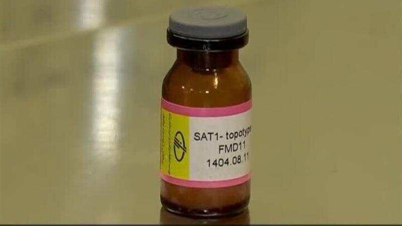 معاون تولید موسسه رازی: واکسن جدید تب برفکی با ویروس غیر بومی SAT۱ تولید می شود