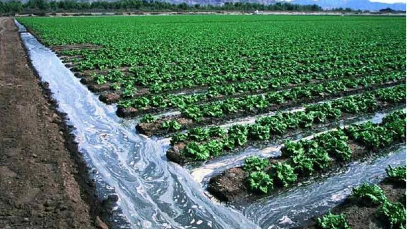 آزاد سازی میلیاردی اراضی کشاورزی در ری