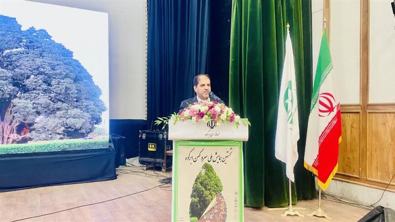 معاون استاندار یزد: سرو ابرکوه گنجینه‌ای جهانی و نماد هویت ایرانی است