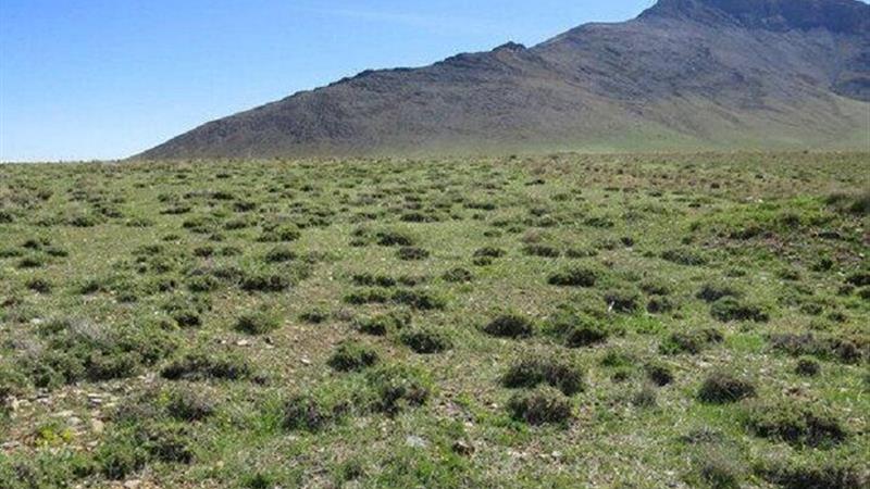 مدیریت مراتع مرکزی محور مقابله با گرد و غبار