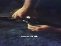 نجات لاک‌پشت کمیاب از صید در منطقه لارک