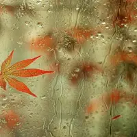 ورود اولین سامانه بارشی به لرستان