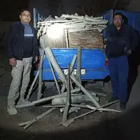 دستگیری سردسته باند بزرگ قاچاق چوب جنوب استان در بوکان