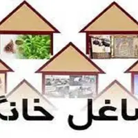 تخصیص اعتبار برای مشاغل خانگی در آذربایجان شرقی