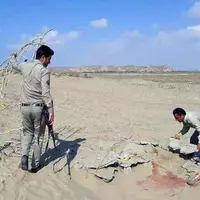 اقدام قاطع محیط‌زیست سیستان و بلوچستان در مقابله با زنده‌گیری پرندگان