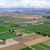 ۹۶۹ هکتار از اراضی بایر دولتی بجنورد تعیین تکلیف شد