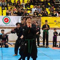 هیئت ورزش‌های رزمی ایلام امسال ۳۷ مدال ملی و بین‌المللی کسب کرده است