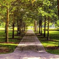 احداث سه پارک جدید در بجنورد؛ گامی در توسعه فضای سبز شهری بجنورد