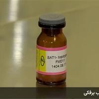 معاون تولید موسسه رازی: واکسن جدید تب برفکی با ویروس غیر بومی SAT۱ تولید می شود