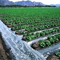 آزاد سازی میلیاردی اراضی کشاورزی در ری