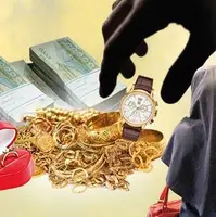 سرقت ۷۳ گرم طلا ،خانم نظافتچی را راهی زندان کرد