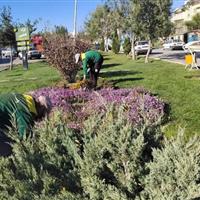 ۳۴ هکتار به فضای سبز شهر اردبیل اضافه شد