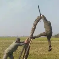 تلههای زنده گیری پرندگان شکاری در پارک بوجاق جمع آوری شد