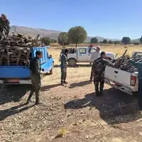 سردسته باند بزرگ قاچاق چوب در بوکان دستگیر شد