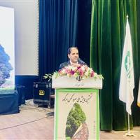 معاون استاندار یزد: سرو ابرکوه گنجینهای جهانی و نماد هویت ایرانی است