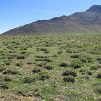 مدیریت مراتع مرکزی محور مقابله با گرد و غبار