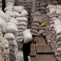 تخصیص ۶۲۵۰ کیسه آرد فوق العاده برای نانوایان مازندران