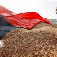 توزیع نهاده دامی در خراسان‌شمالی ۶۴ درصد افزایش یافت