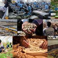 هر زندان یک کارگاه تولیدی