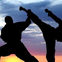 استان مرکزی میزبان مسابقات قهرمانی هنرهای رزمی ترکیبی کشور است