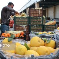 افزایش نظارت‌ها بر بازار میوه و تره‌بار زنجان