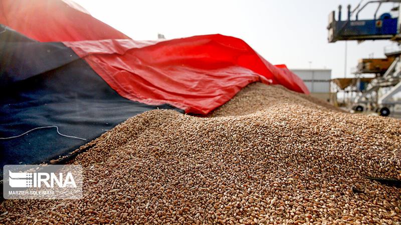 توزیع نهاده دامی در خراسانشمالی ۶۴ درصد افزایش یافت