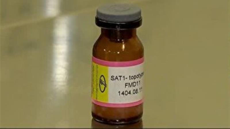 پیش بینی تولید یک میلیون دوز واکسن تب برفکی جدید تا دو‌ماه آینده